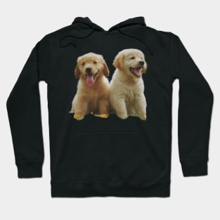 Two yellow Puppies Hoodie